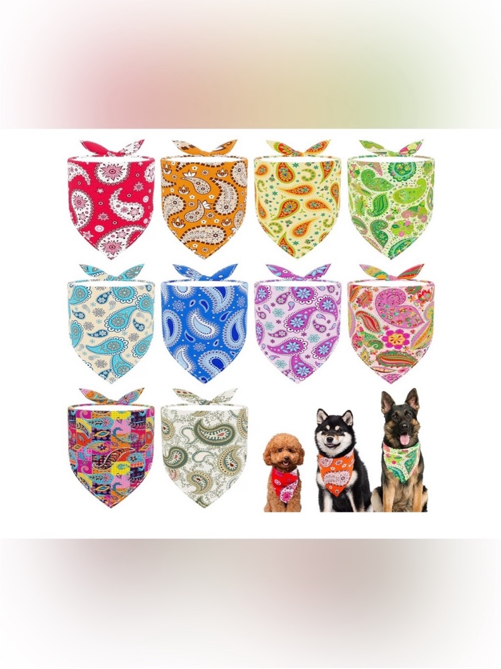 Random color pet bandanna